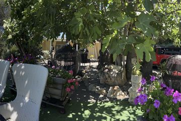 Los Angeles Open Air Location TopangaDreaming Main Venue image 13