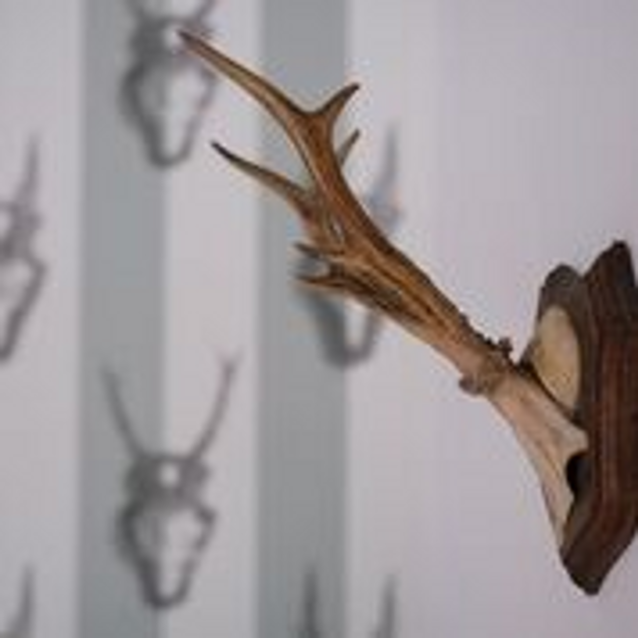 Rest van de wereld training rooms Privéwoning Der Hof image 16