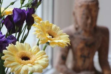 Mannheim workshop spaces Studio Yoga Room II image 2