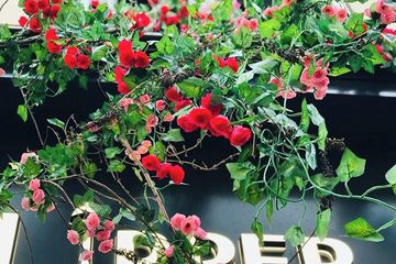 Paris training rooms Private residence Uptown image 20