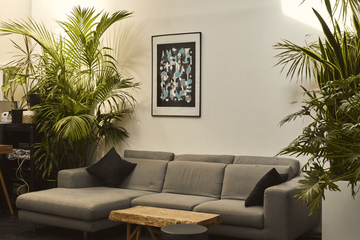 Paris Studio Chambre Noir image 10