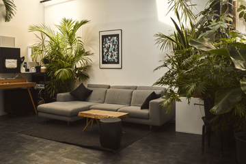 Paris Studio Chambre Noir image 11