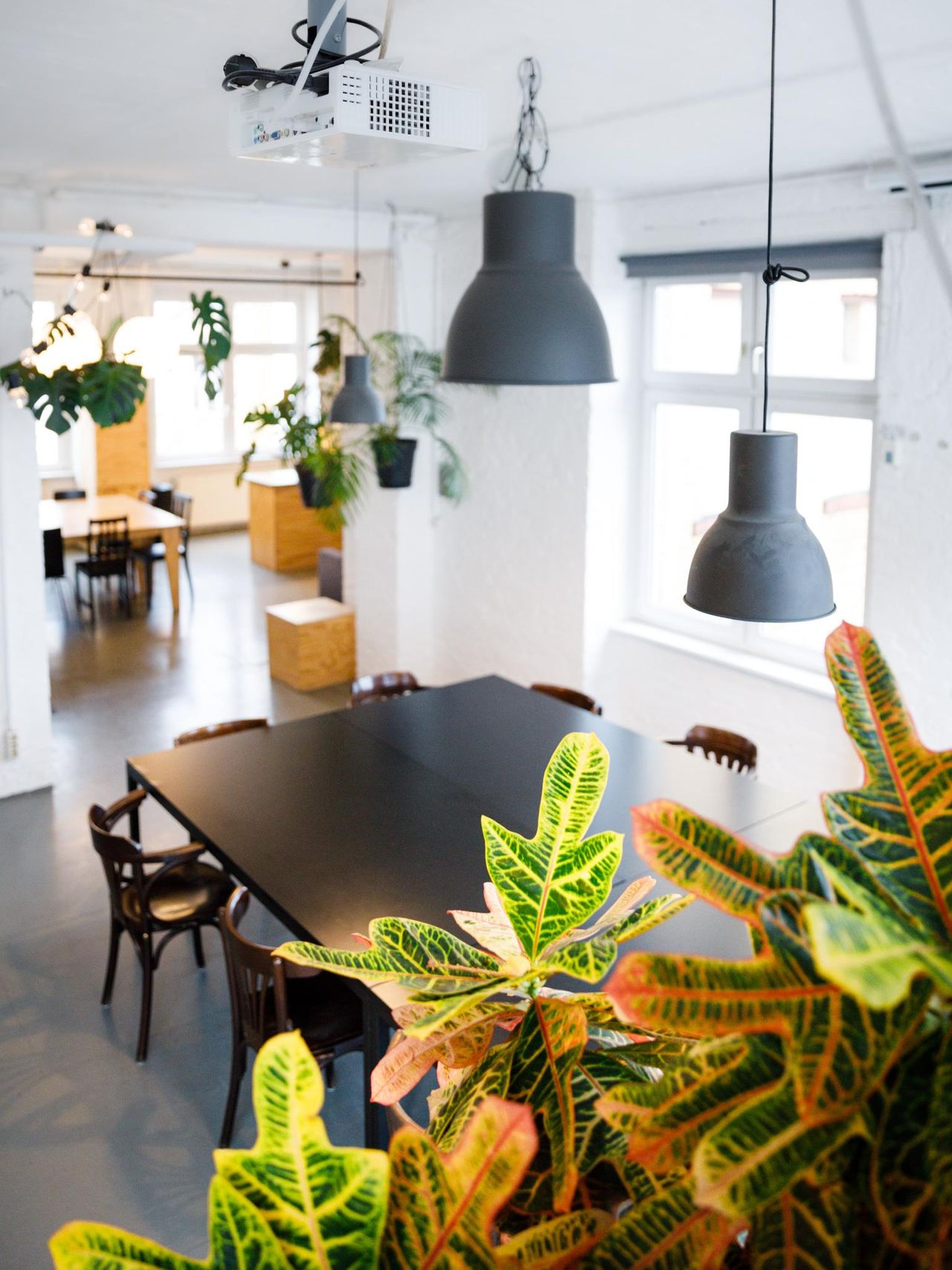 Berlin Kreatives Meeting Meetingräume LIANE 2 image 23