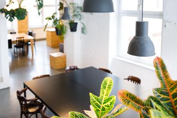 Berlijn Kreatives Meeting Vergaderruimte LIANE 2 image 23