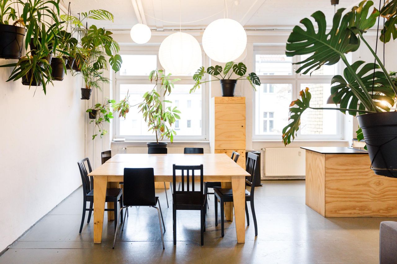 Berlin Kreatives Meeting Meetingräume LIANE 2 image 24