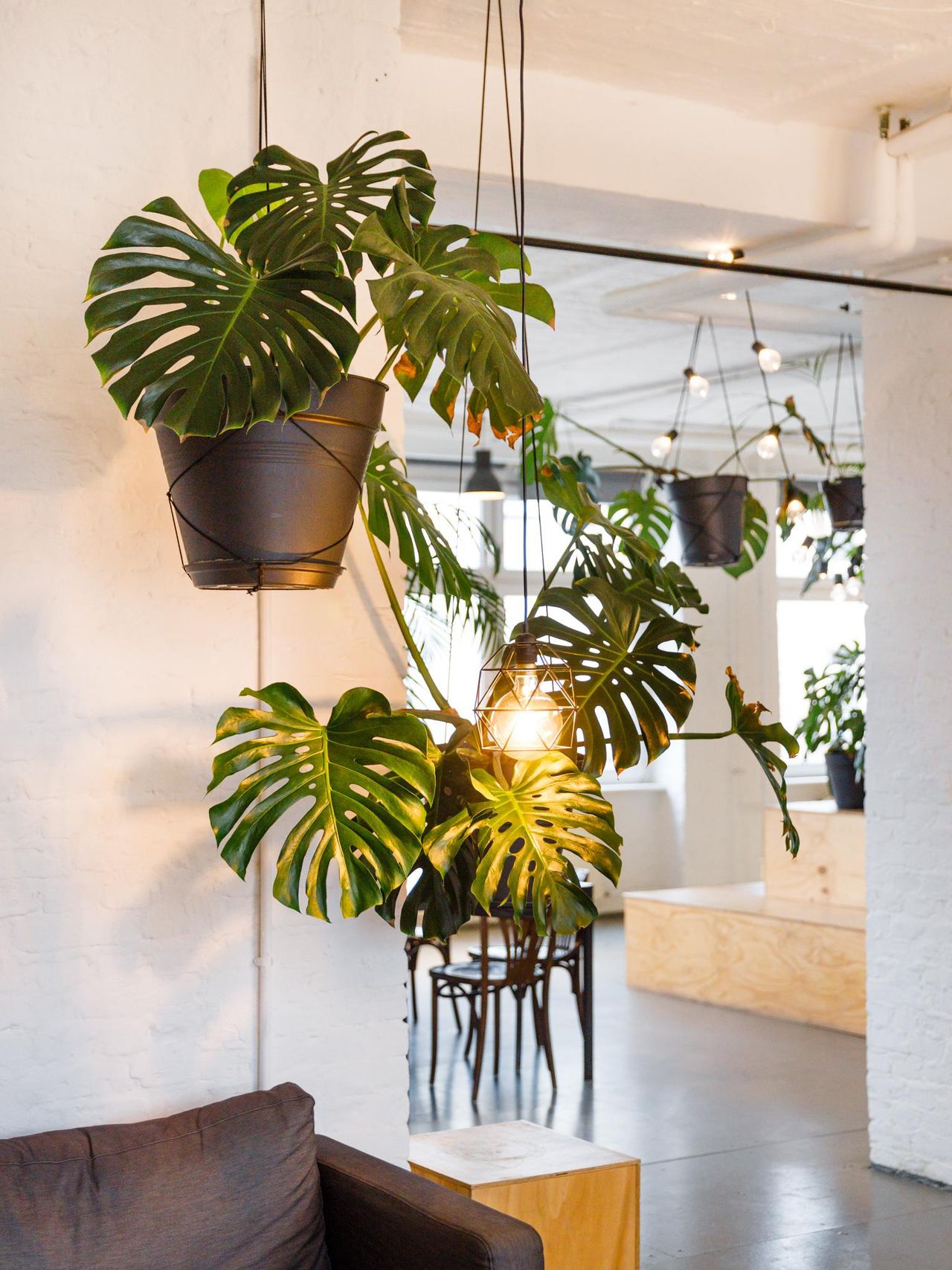 Berlin Kreatives Meeting Meetingräume LIANE 2 image 26