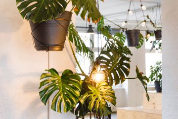 Berlijn Kreatives Meeting Vergaderruimte LIANE 2 image 26