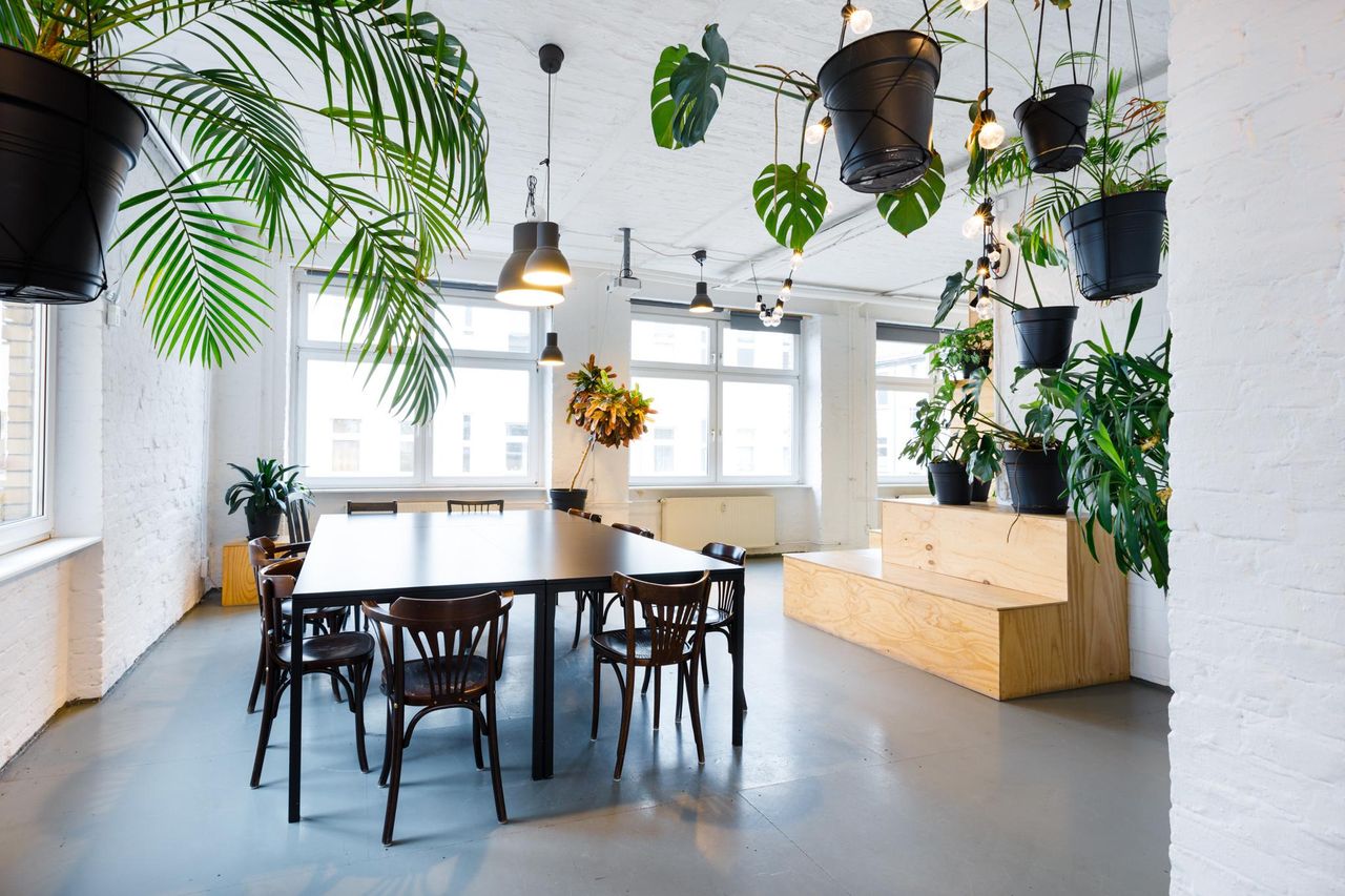 Berlin Kreatives Meeting Meetingräume LIANE 2 image 29