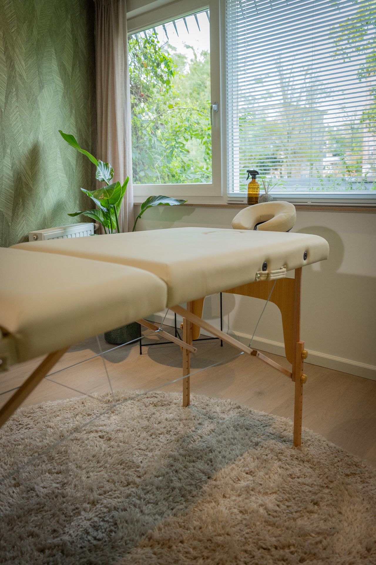 Amsterdam  Consulting Room Grachtenkamer image 4