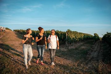 Ingelheim am Rhein Eventlocation Outdoor Teamevents in den Weinbergen (z. B. Rallye, Bogenschießen, etc.) image 0