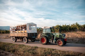 Ingelheim am Rhein Eventlocation Outdoor Teamevents in den Weinbergen (z. B. Rallye, Bogenschießen, etc.) image 1