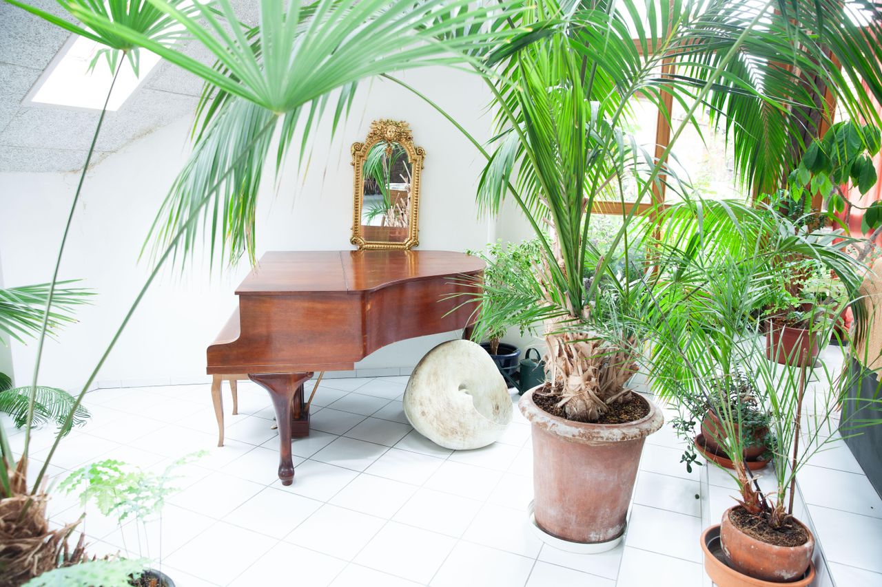 Rest van de wereld  Seminarruimtes Weißer Saal image 1