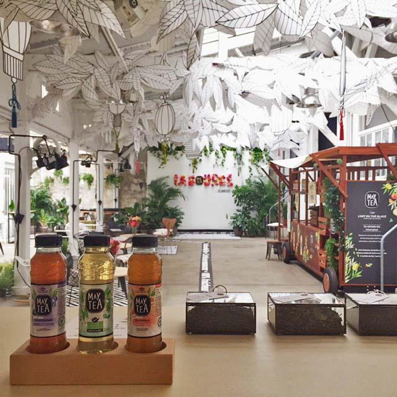 Paris Réunion hors site Photostudio studio photo image 16