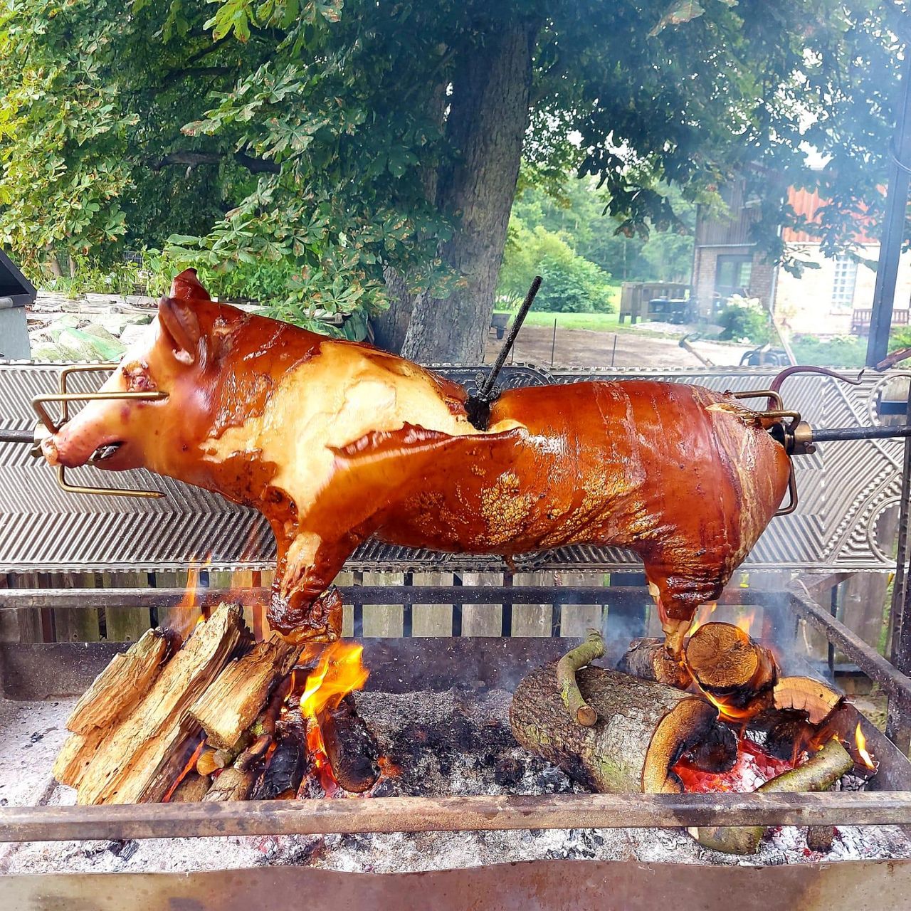 Rest der Welt Christmas Party Veranstaltungsraum VIERBURG Bützow image 11