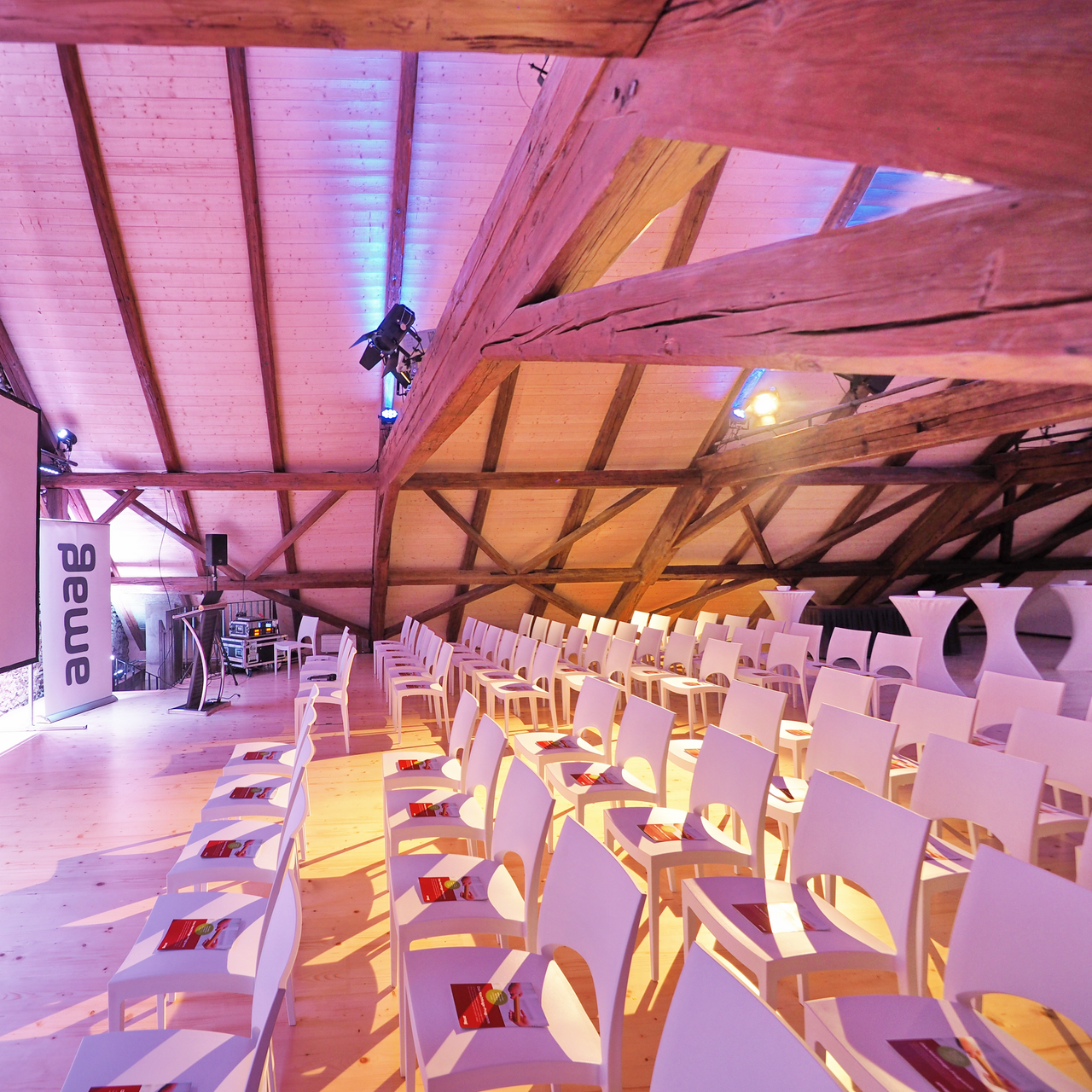 Winterthur  Konferenzraum Firstsaal image 2