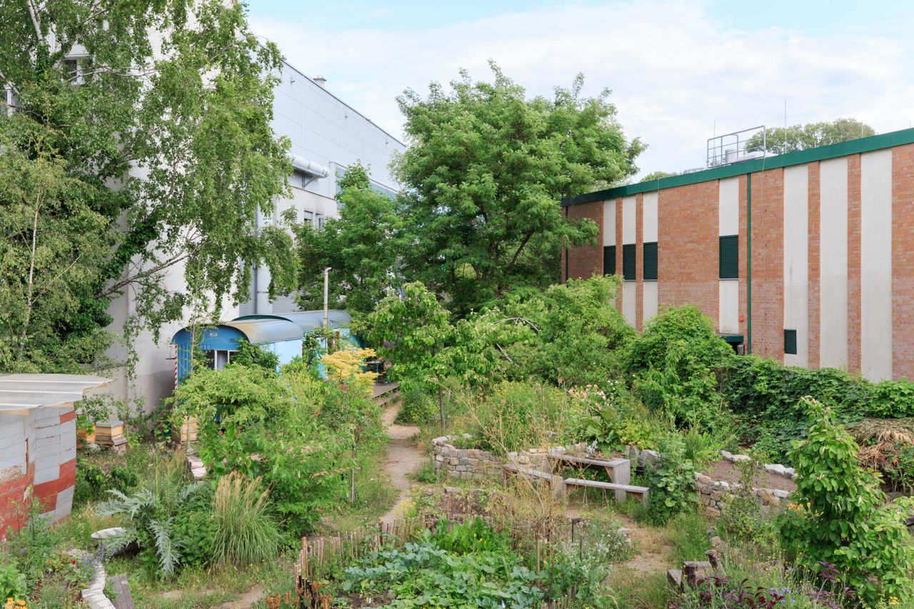 Berlijn Creative Meeting Buitenlocaties Lobe Garden image 1