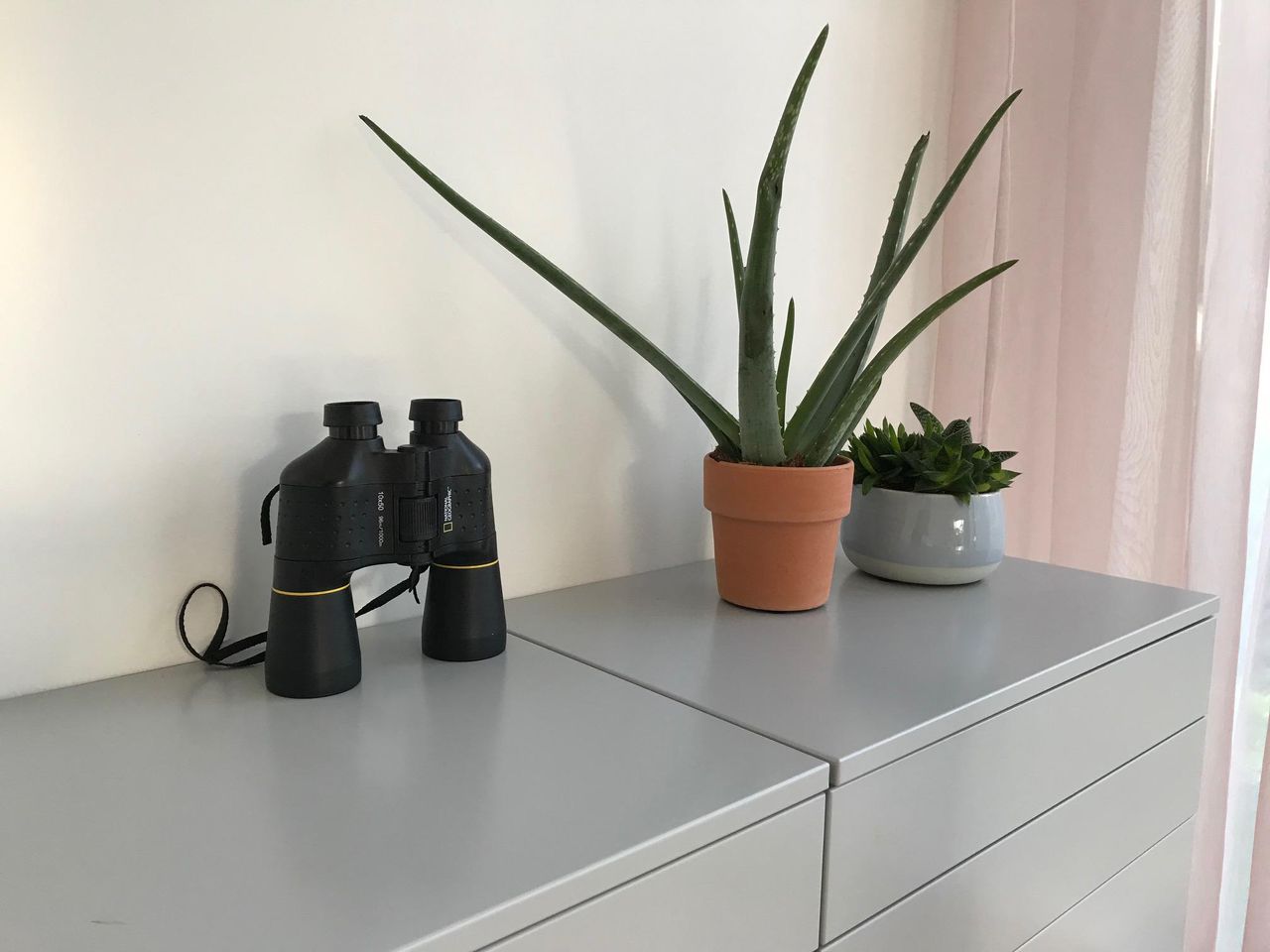 Amsterdam  Außergewöhnlich Vergader- en coachruimte in het groen in Amsterdam image 10