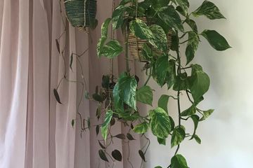 Amsterdam  Außergewöhnlich Vergader- en coachruimte in het groen in Amsterdam image 7