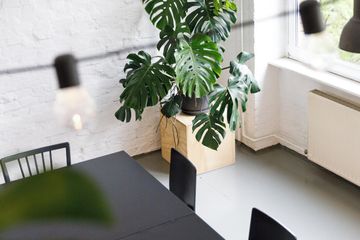 Berlijn training rooms workshop LIANE 2 image 15