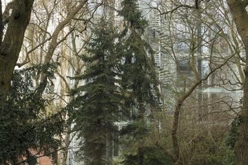 Berlin training rooms Grünfläche Idylle in a park - Meetingraum image 8