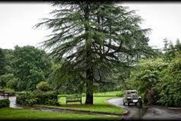 Sheffield seminar rooms Meetingraum Cedar Room image 1