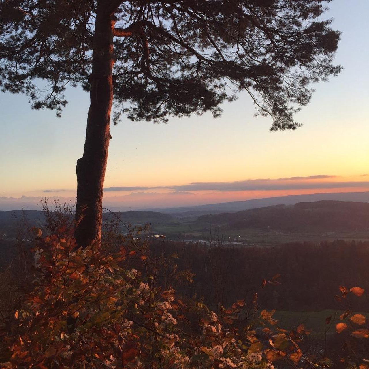 Stallikon  Evenementenlocaties Im Sonnenbuehl image 8