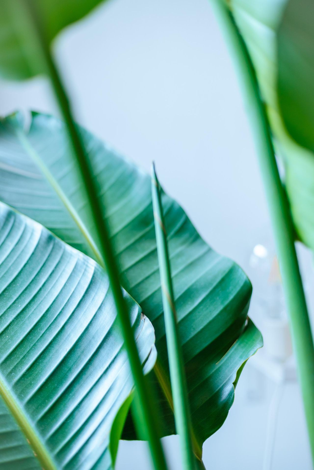 Dachau  Studio Lighter Studio Dachau image 13