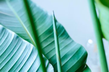 Dachau Studio Lighter Studio Dachau image 13