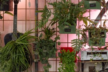 Berlin workshop spaces Restaurant Infarm image 7