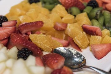 Ludwigshafen Am Rhein PR & Marketing Event Festhalle Baumhain - Luisenpark Mannheim image 10