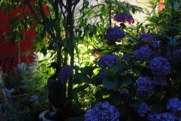 Köln Geburtstag Veranstaltungsraum Amusette - Köln image 4