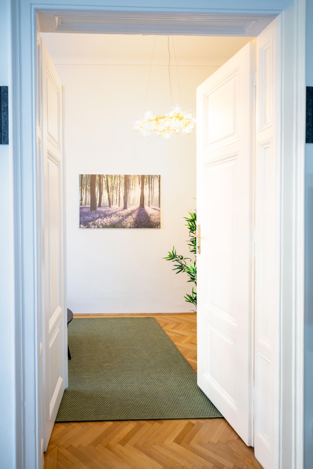 Vienna   Coaching Room image 3