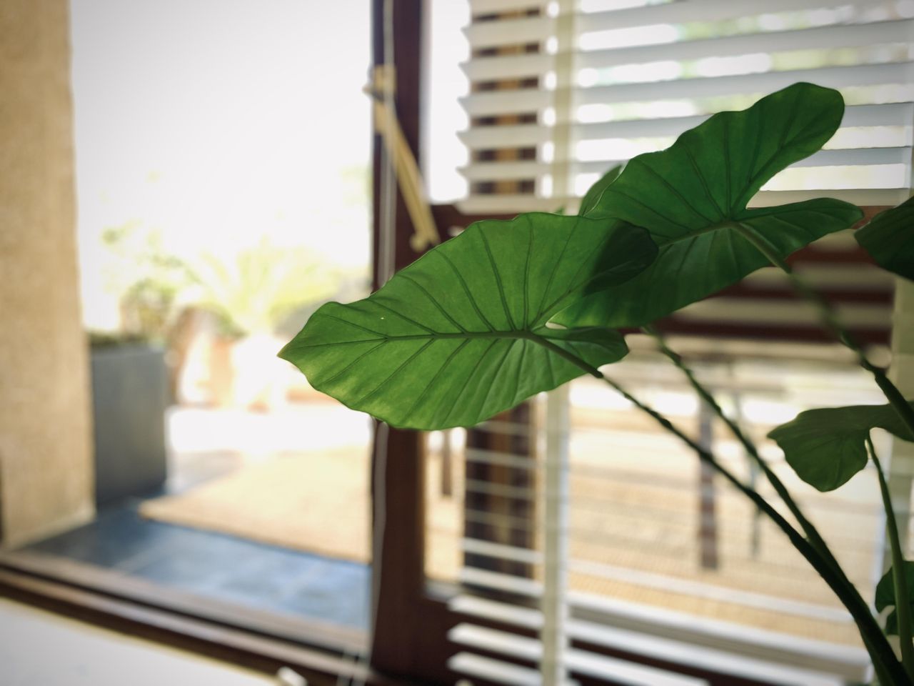 Rest van de wereld  Studio Creative Space image 6