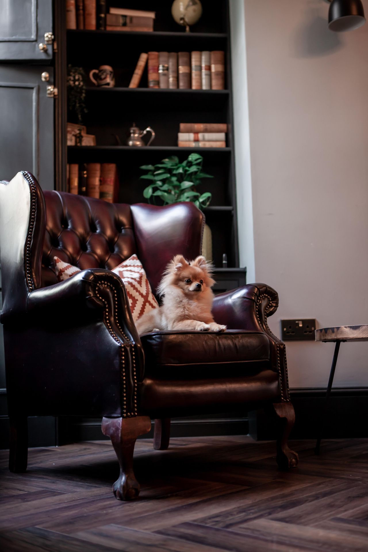 Londen  Vergaderzalen 1 Bedford Row Lounge image 7