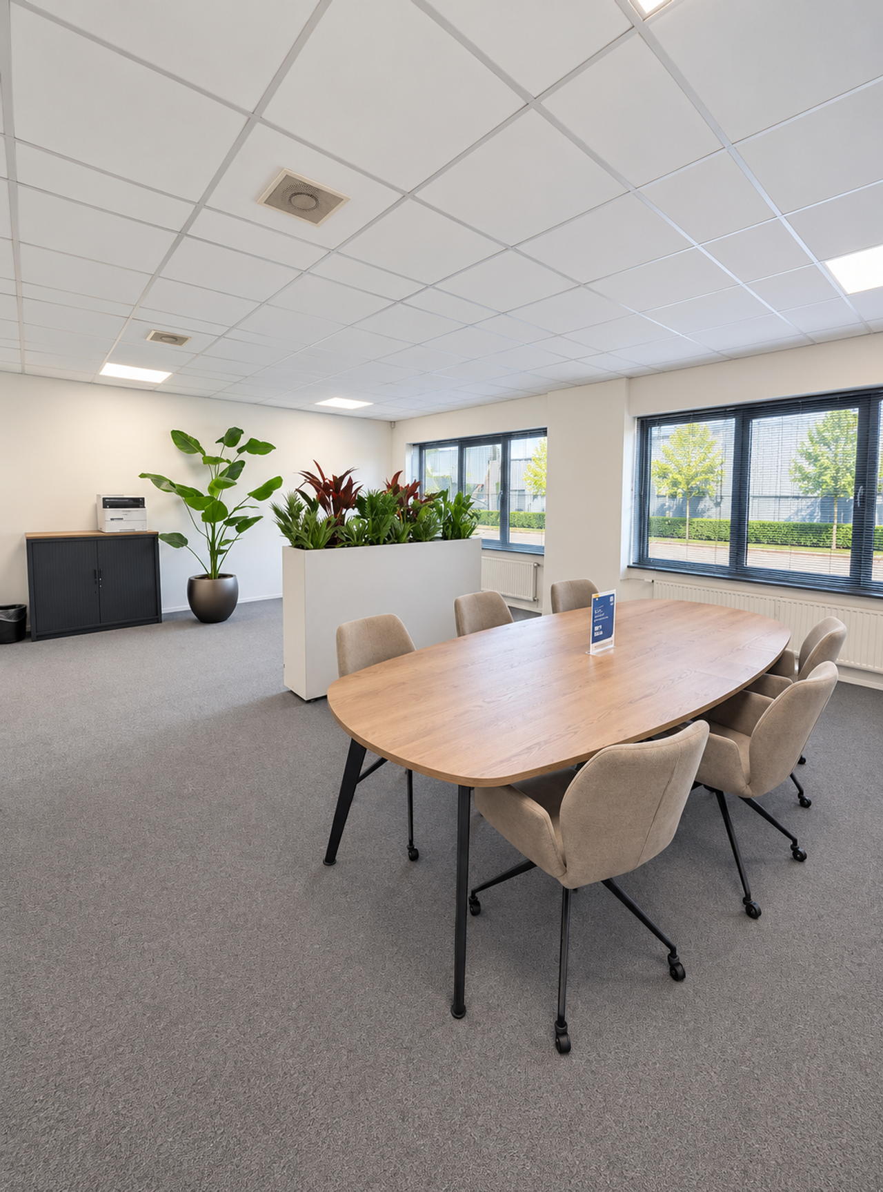 Maastricht Coaching sessie Meeting room Flexkantoor 19 image 0