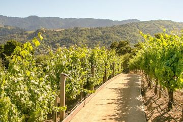 Cupertino corporate event spaces Green space Vineyard Point image 5