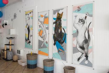 San Jose workshop spaces Meeting room Meeting Space image 4