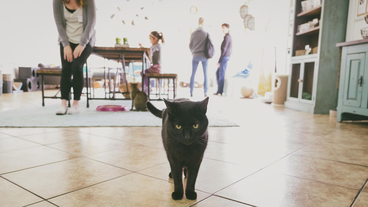 San Jose workshop spaces Vergaderruimte Meeting Space image 3