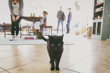 San Jose workshop spaces Meeting room Meeting Space image 3