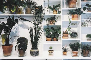 Kopenhagen training rooms Vergaderruimte EVENT SPACE image 23