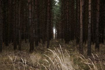 Rest der Welt Geburtstag  WildBear Eventlocation image 10