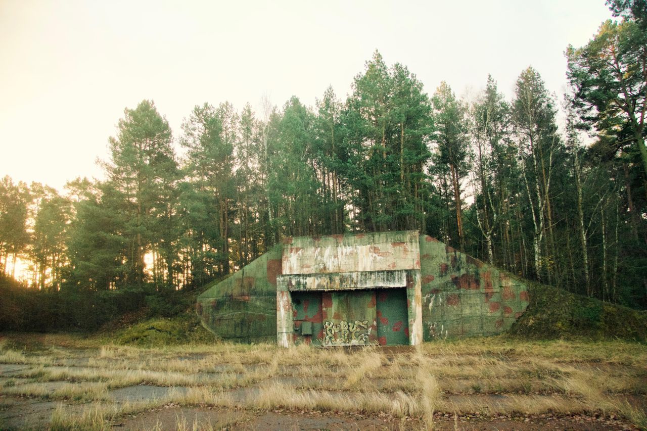 Rest der Welt Geburtstag  WildBear Eventlocation image 10