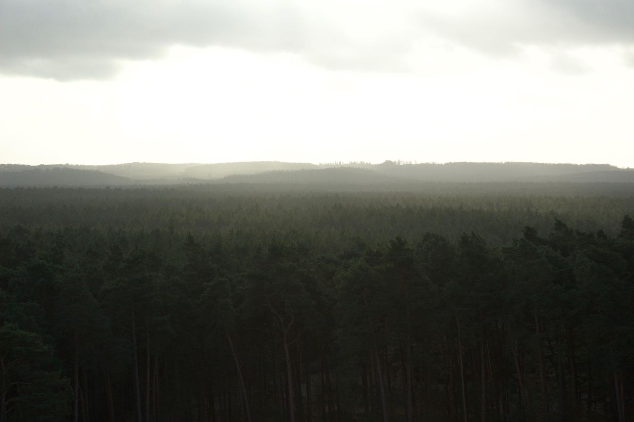 Rest der Welt Geburtstag  WildBear Eventlocation image 10