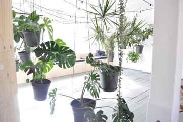 Berlijn training rooms Bijzondere locatie LIANE 1 image 42