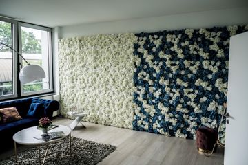 Hamburg  Fotostudio Maystudio by Dynamic Media image 2