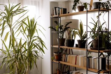 Fellbach Studio LOVT Studio image 14