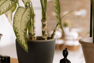 Fellbach Studio LOVT Studio image 23