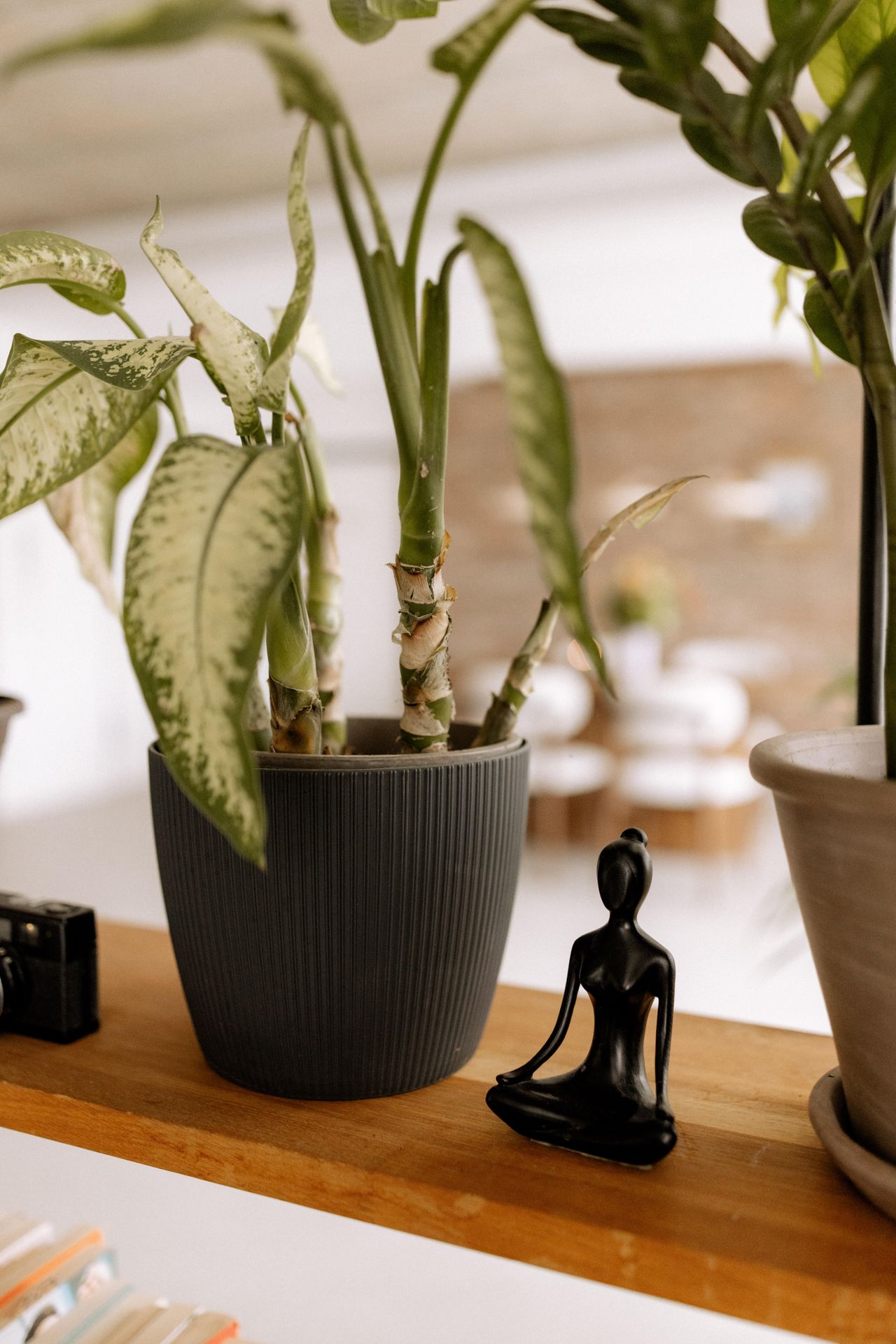 Fellbach  Studio LOVT Studio image 23