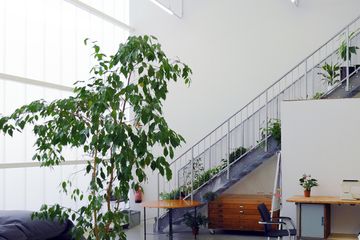 Berlin Mietstudio Fotostudio  image 2