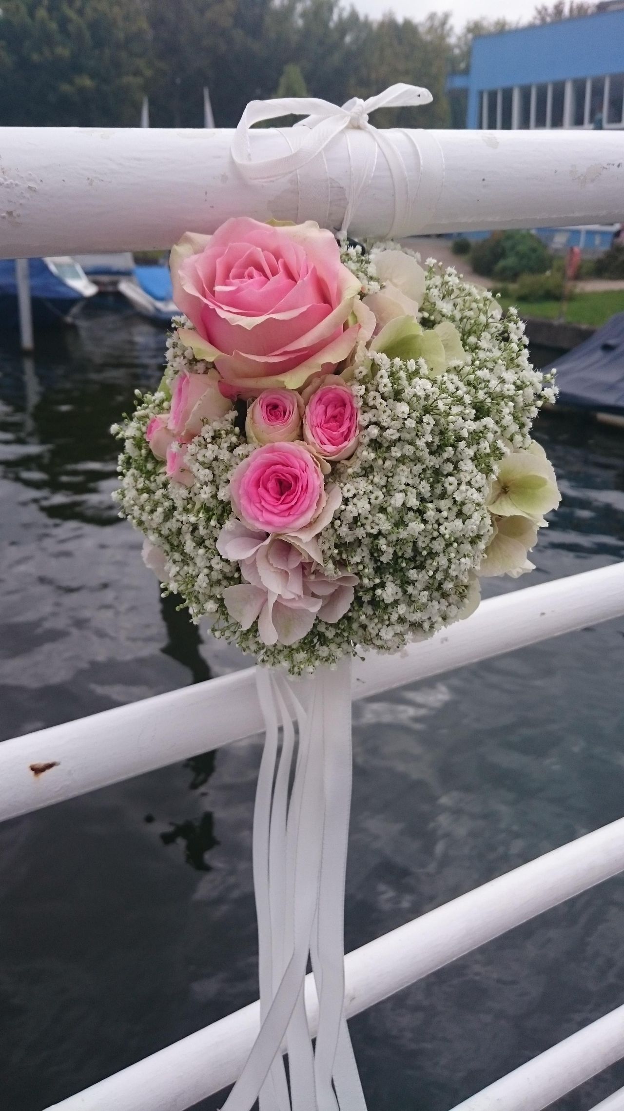 Rest der Welt Geburtstag  Salonschiff 